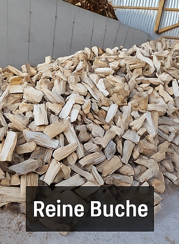 Buchenholz.jpg