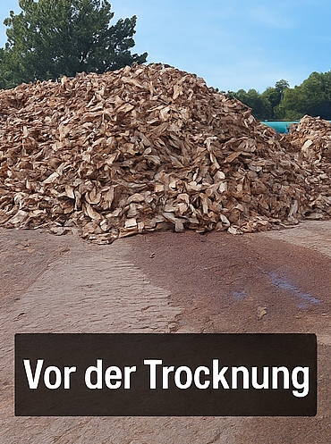 vor Trocknung.jpg