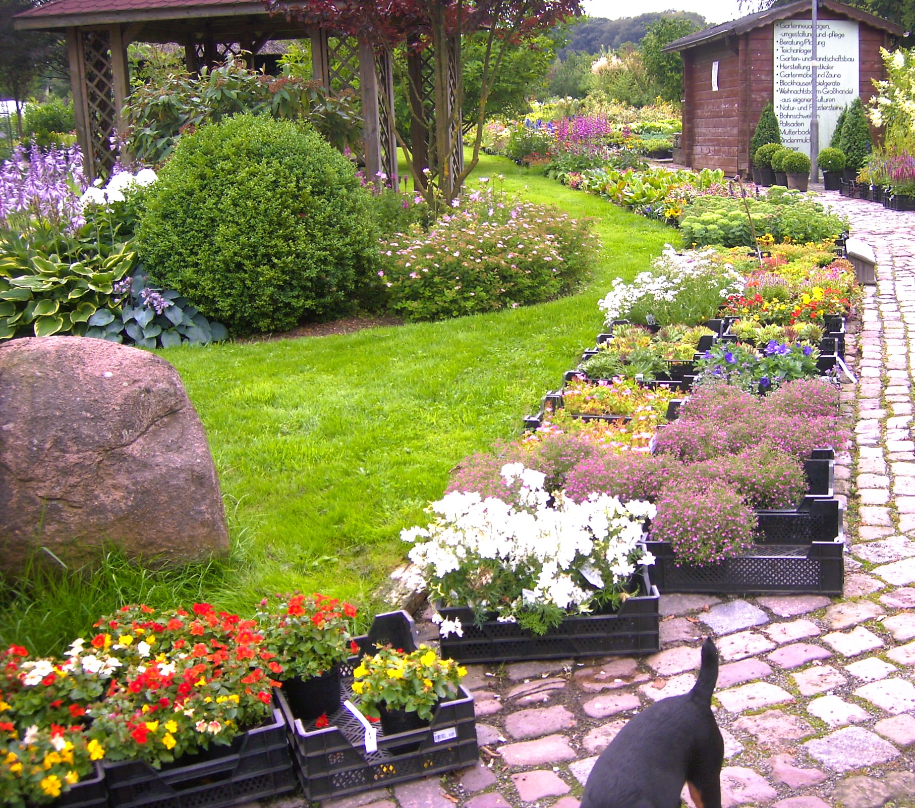 PICT1215.JPG